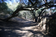 Enlarge photo 152
