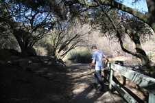 Enlarge photo 154