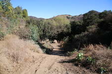 Enlarge photo 174