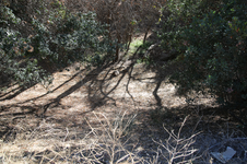 Enlarge photo 179
