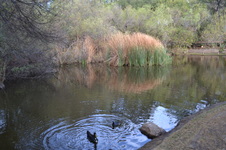 Enlarge photo 31