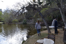 Enlarge photo 33