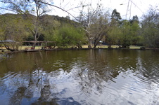 Enlarge photo 34