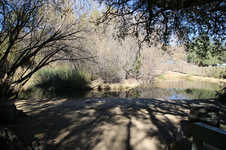 Enlarge photo 18