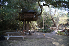 Enlarge photo 35