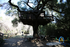 Enlarge photo 37