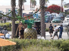 Enlarge photo 25