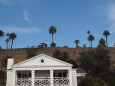 Enlarge photo 52