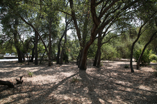 Enlarge photo 15