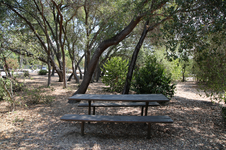 Enlarge photo 17