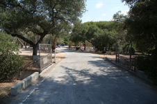 Enlarge photo 23