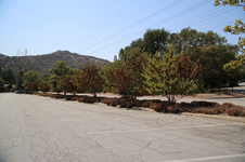 Enlarge photo 24