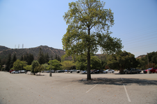 Enlarge photo 32