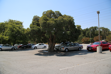 Enlarge photo 33