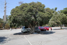 Enlarge photo 36