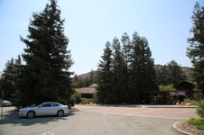 Enlarge photo 37