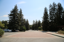 Enlarge photo 38