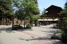 Enlarge photo 62