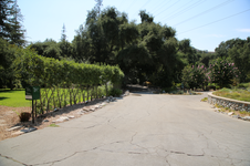 Enlarge photo 67