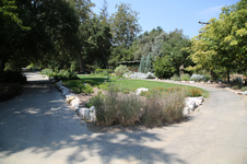 Enlarge photo 78