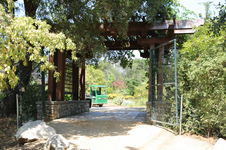 Enlarge photo 81