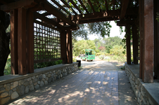 Enlarge photo 82