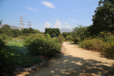 Enlarge photo 88