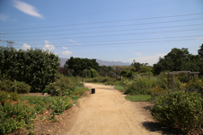 Enlarge photo 92