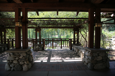 Enlarge photo 99
