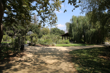 Enlarge photo 116