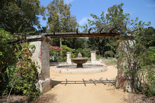 Enlarge photo 124