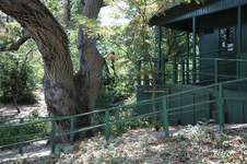 Enlarge photo 142