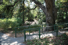 Enlarge photo 144