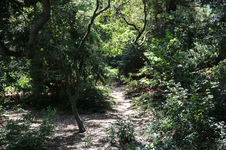 Enlarge photo 145
