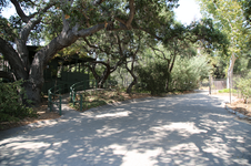 Enlarge photo 146