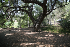 Enlarge photo 152
