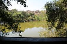 Enlarge photo 161