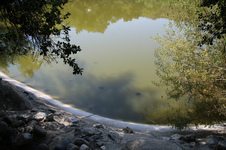 Enlarge photo 162