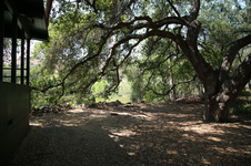 Enlarge photo 165