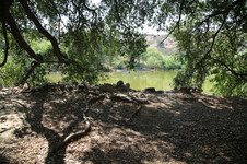 Enlarge photo 166