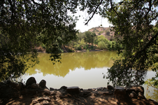 Enlarge photo 167