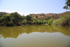 Enlarge photo 168