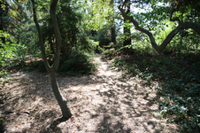 Enlarge photo 171