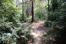 Enlarge photo 172