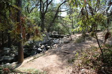 Enlarge photo 175
