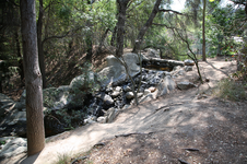 Enlarge photo 176