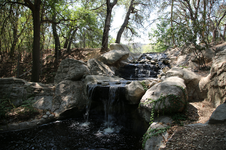 Enlarge photo 177