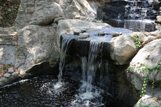 Enlarge photo 178