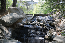 Enlarge photo 179