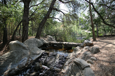 Enlarge photo 180